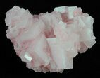 Pink Halite Crystal Plate - Trona, California #61068-1